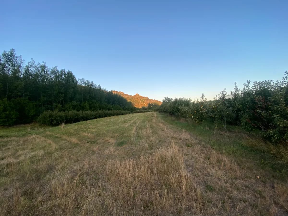 Grundstück kaufen in Krems Land – 7 421 m² – Bild 1 von 3