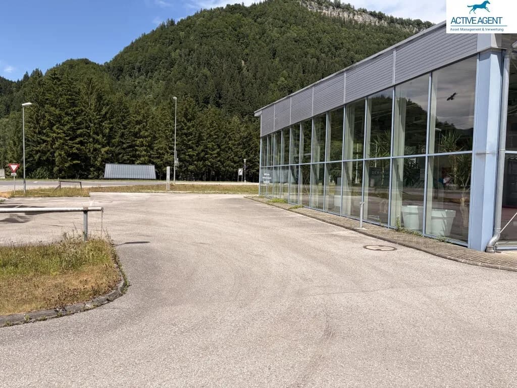Immobilie mieten in Scheibbs – 5 922 m², € 5.000 – Bild 8 von 12