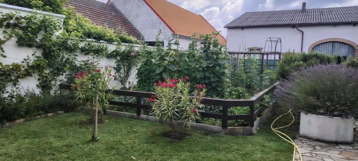 8-Zimmer-Gewerbeimmobilie kaufen in Neusiedl am See – 239 m², € 590.000 – Bild 7 von 34