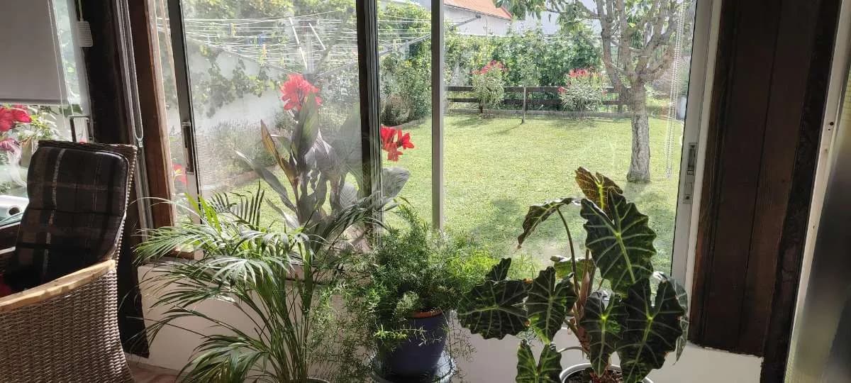 8-Zimmer-Gewerbeimmobilie kaufen in Neusiedl am See – 239 m², € 590.000 – Bild 9 von 34