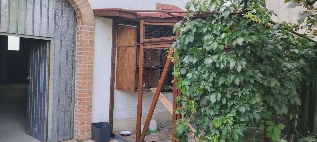 8-Zimmer-Gewerbeimmobilie kaufen in Neusiedl am See – 239 m², € 590.000 – Bild 12 von 34