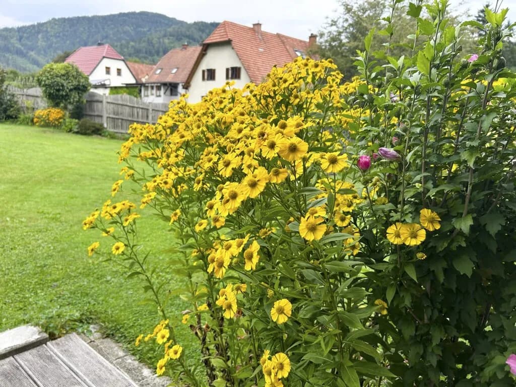 6-Zimmer-Haus kaufen in Graz-Umgebung – 114 m², € 250.000 – Bild 10 von 35