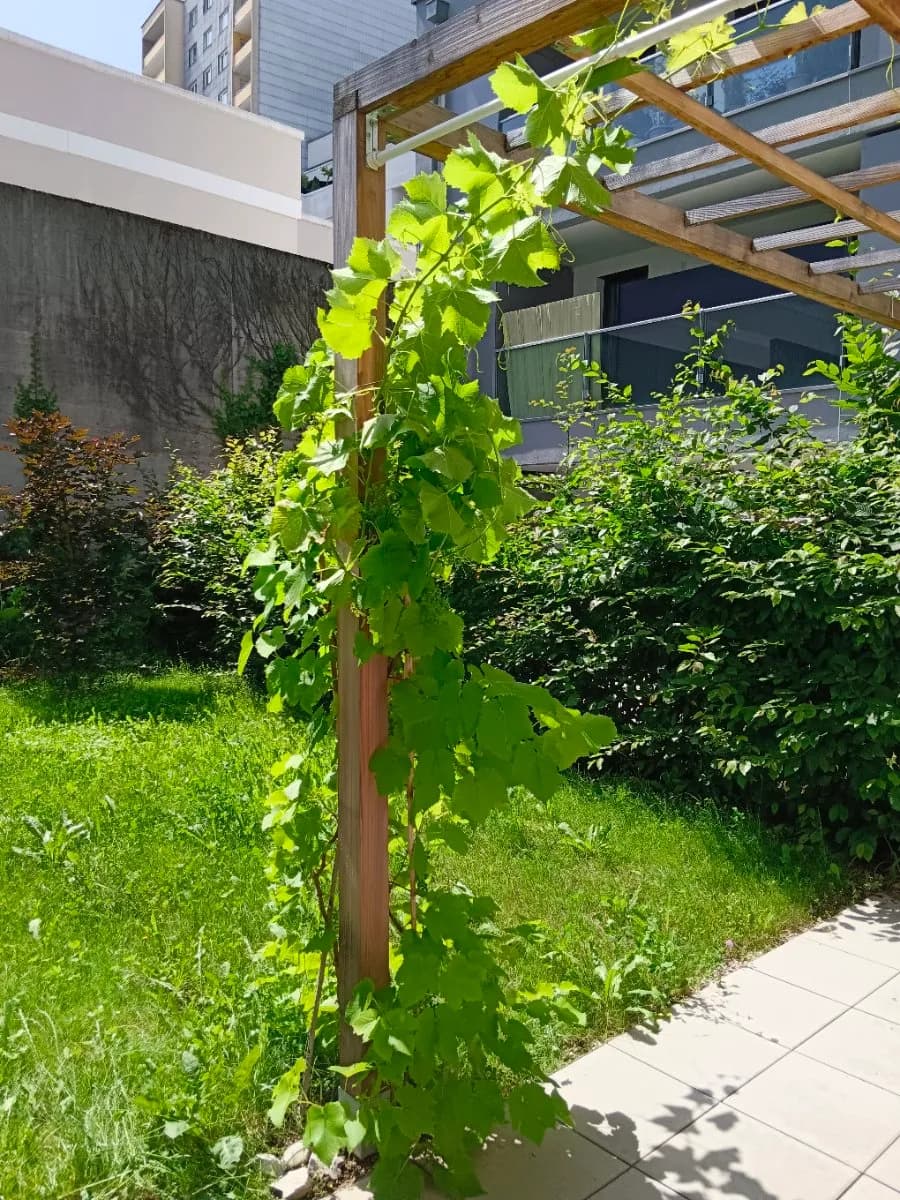 2-Zimmer-Wohnung mieten in Wels – 55 m², € 1.130 – Bild 13 von 15