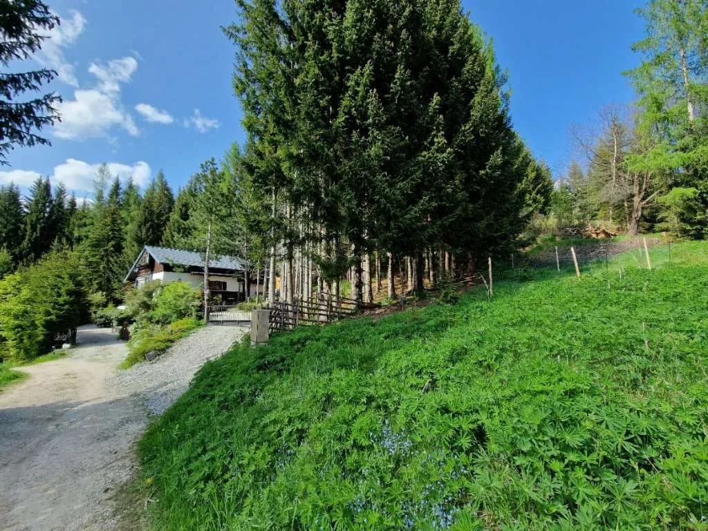 10-Zimmer-Wohnung mieten in Wolfsberg – 175 m², € 850 – Bild 5 von 42