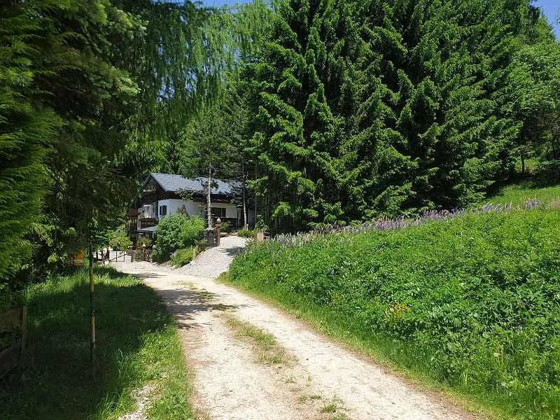 10-Zimmer-Wohnung mieten in Wolfsberg – 175 m², € 850 – Bild 28 von 42