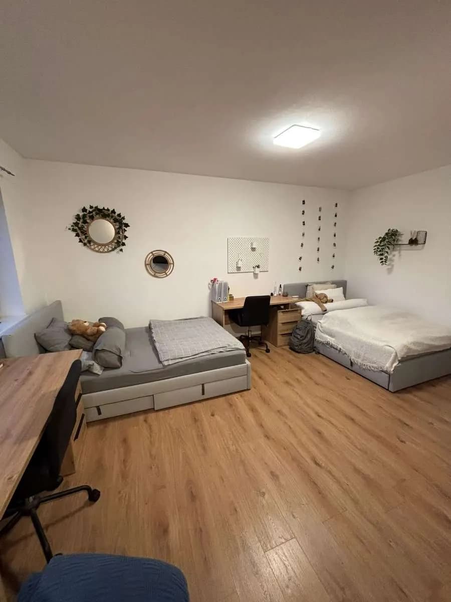 1-Zimmer-Wohnung mieten in Hollabrunn – 46 m², € 530 – Bild 1 von 17