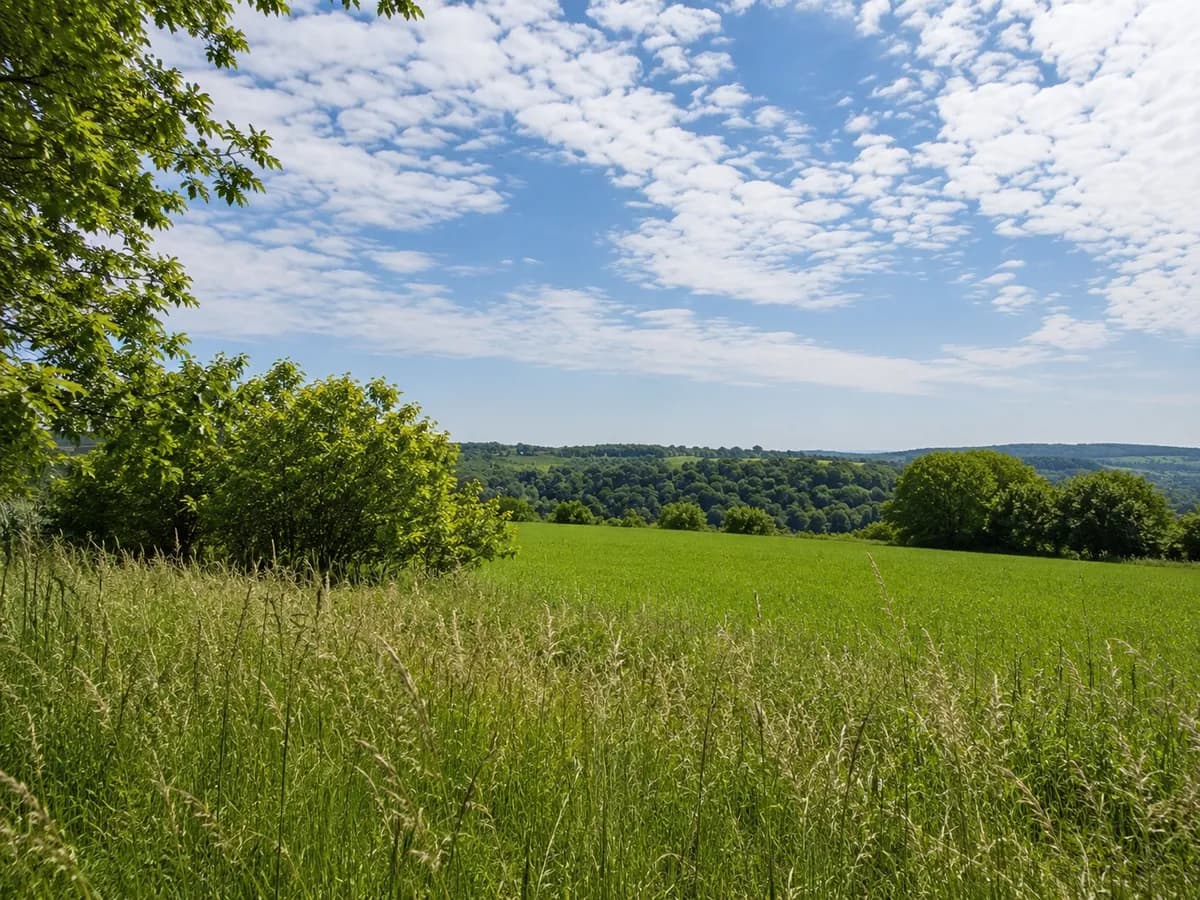 Grundstück kaufen in Tulln – 1 064 m², € 24.000 – Bild 3 von 3