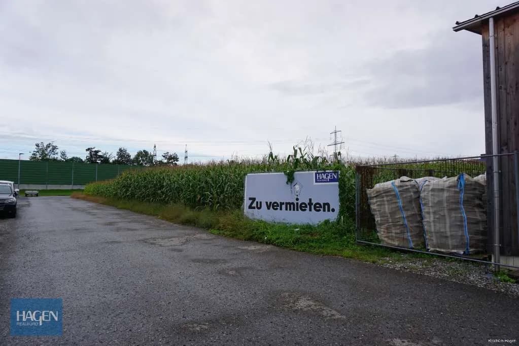 Immobilie mieten in Feldkirch – Bild 3 von 4