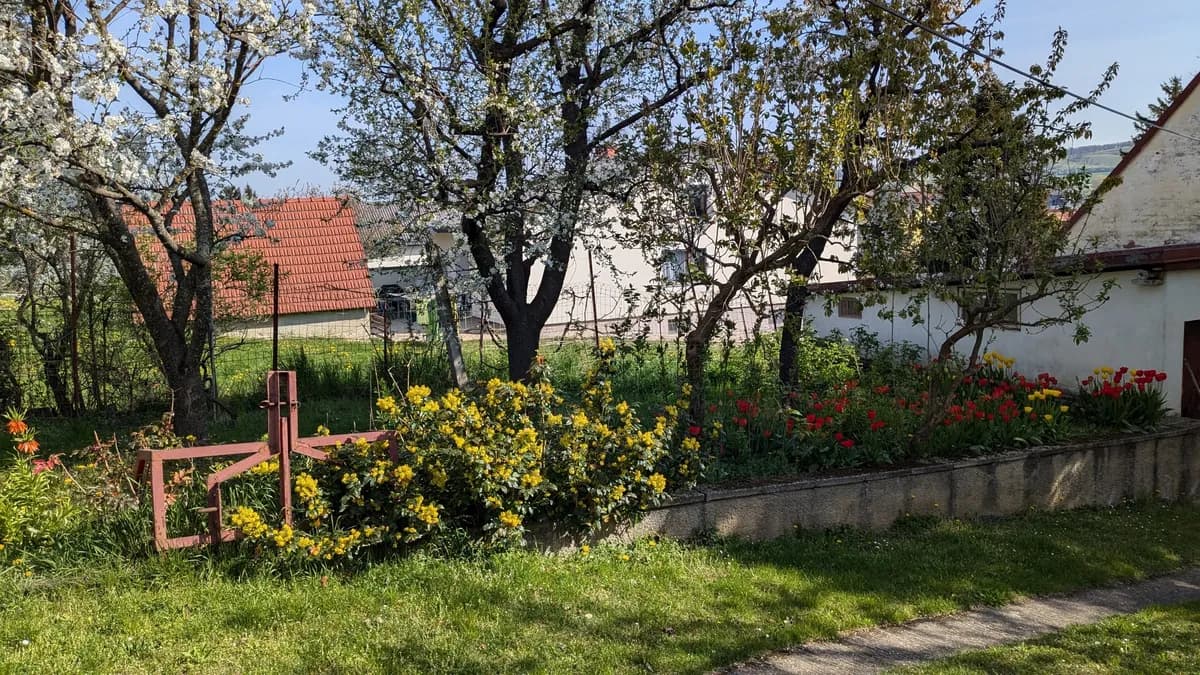 4-Zimmer-Haus mieten in Mattersburg – 120 m², € 1.300 – Bild 17 von 20
