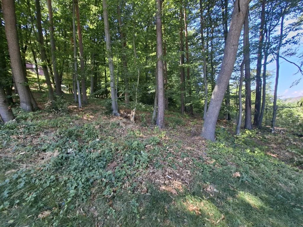 7-Zimmer-Haus kaufen in Sankt Pölten Land – 219,39 m², € 899.000 – Bild 33 von 36