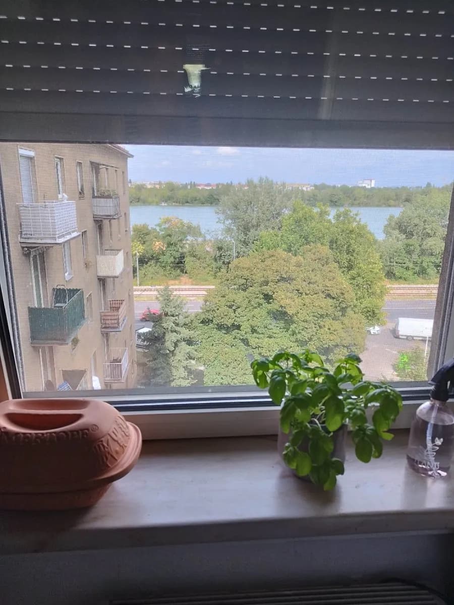 2-Zimmer-Wohnung mieten in Wien – 47 m², € 520 – Bild 18 von 21