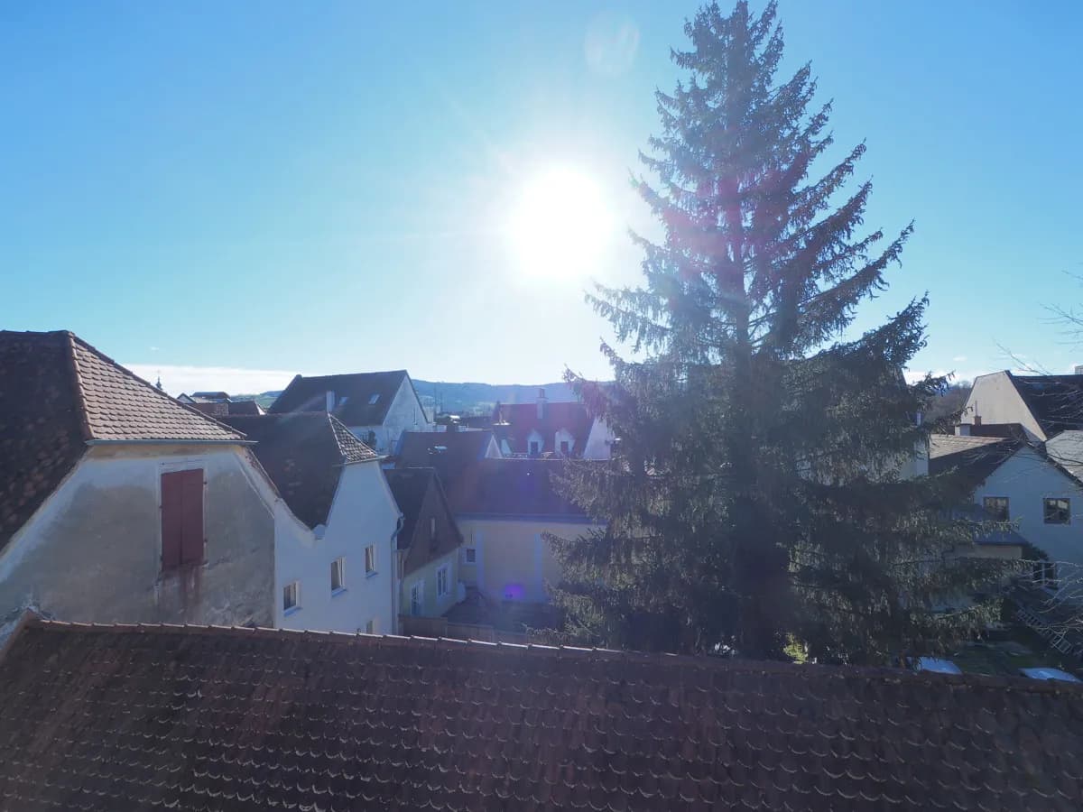 Immobilie kaufen in Steyr – 900 m², € 575.000 – Bild 7 von 16
