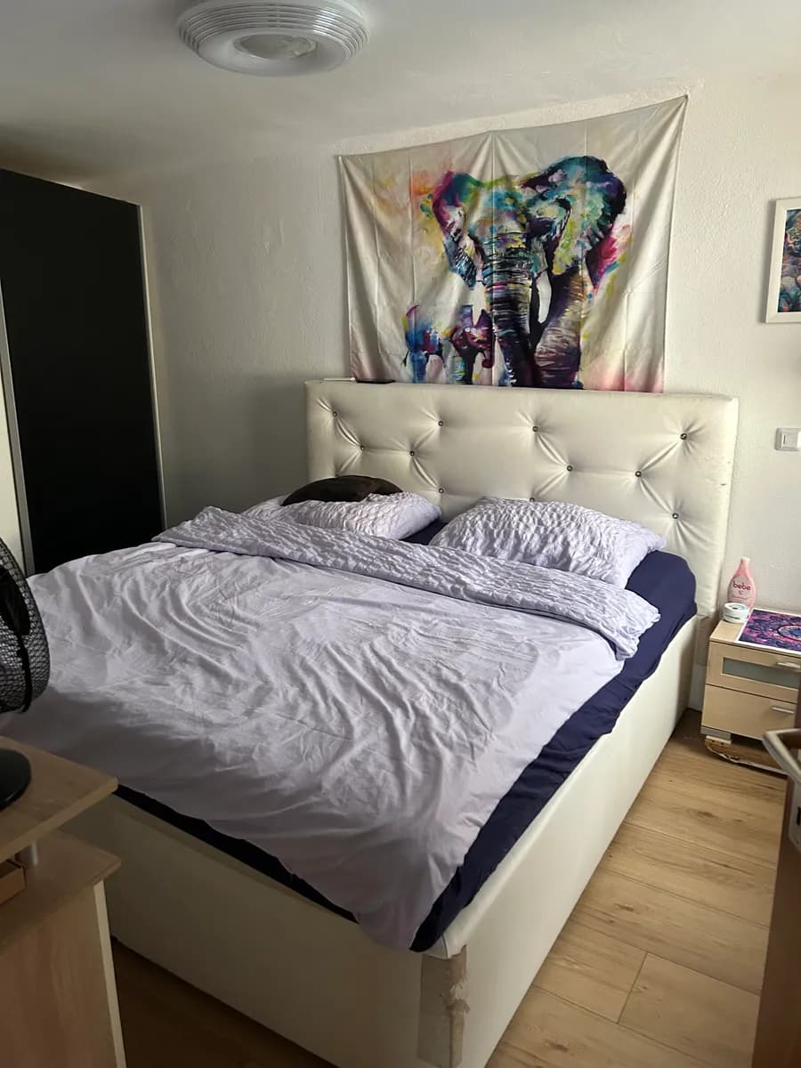 4-Zimmer-Haus mieten in Gänserndorf – 76 m², € 949 – Bild 3 von 23