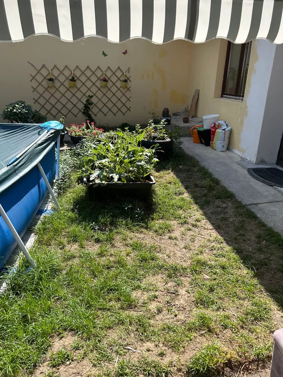 4-Zimmer-Haus mieten in Gänserndorf – 76 m², € 949 – Bild 22 von 23