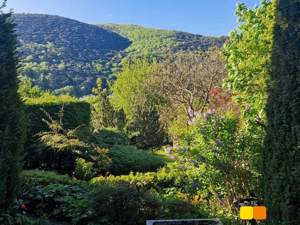4-Zimmer-Haus kaufen in Mödling – 142 m², € 980.000 – Bild 30 von 39