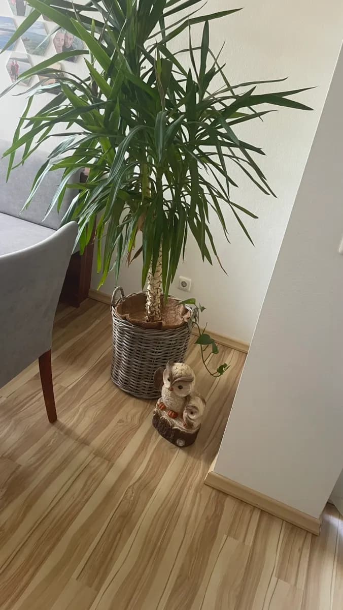 3-Zimmer-Wohnung mieten in Oberwart – 92 m², € 544 – Bild 6 von 37