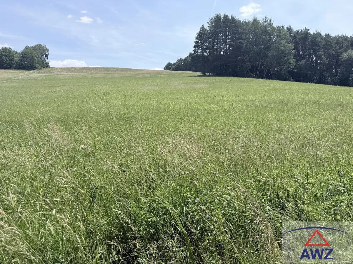Grundstück kaufen in Güssing – 44 100 m² – Bild 1 von 4