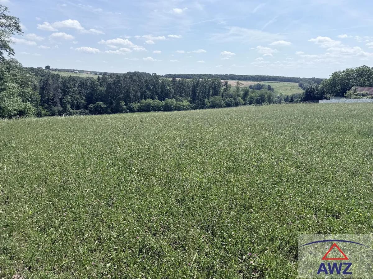 Grundstück kaufen in Güssing – 44 100 m² – Bild 2 von 4