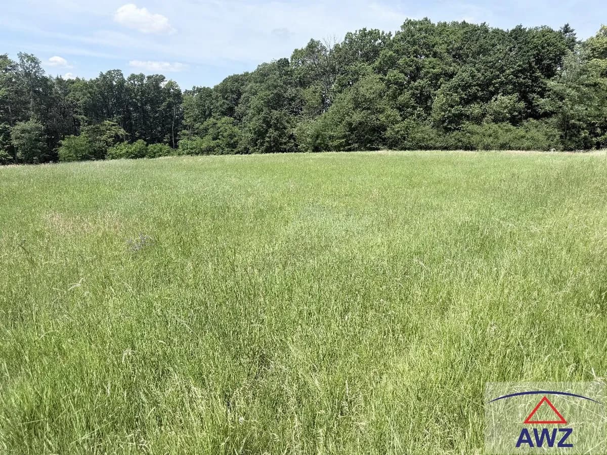 Grundstück kaufen in Güssing – 44 100 m² – Bild 3 von 4