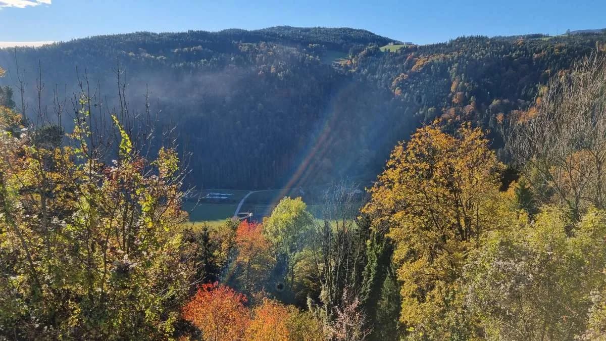 25-Zimmer-Gewerbeimmobilie kaufen in Voitsberg – 680 m², € 520.000 – Bild 14 von 22