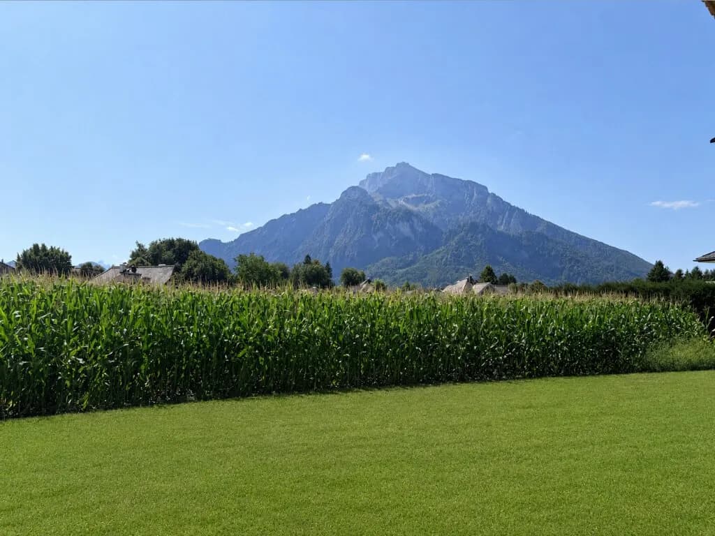 7-Zimmer-Haus mieten in Salzburg-Umgebung – 290 m², € 7.657 – Bild 10 von 27