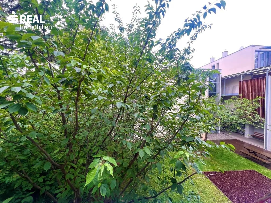 Wohnung mieten in Wien – 86 m², € 1.532 – Bild 3 von 12