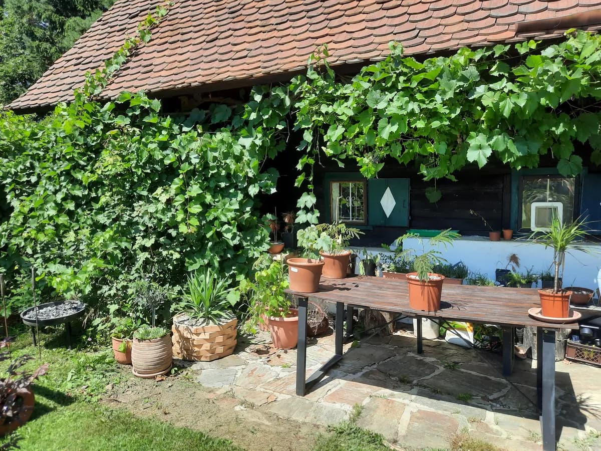 3-Zimmer-Immobilie mieten in Leibnitz – 115 m², € 1.300 – Bild 10 von 19