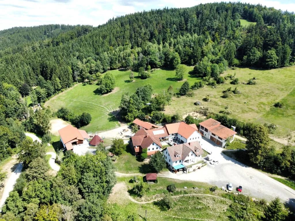 Grundstück kaufen in Perg – 262 m², € 2.990.000 – Bild 3 von 24