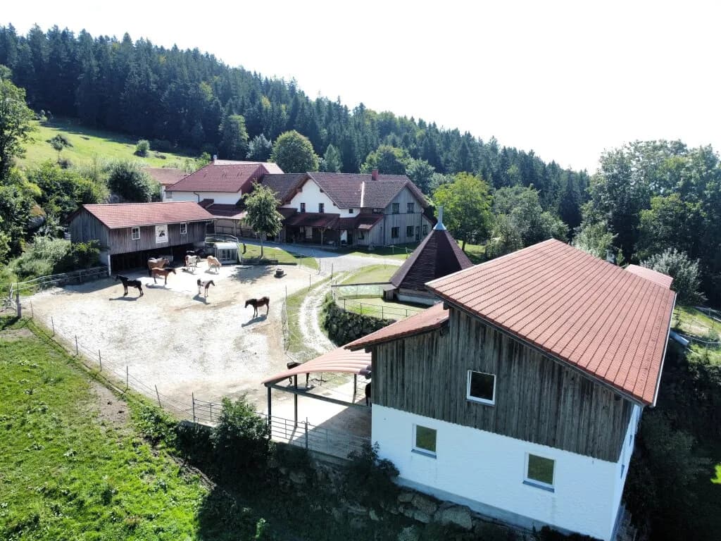 Grundstück kaufen in Perg – 262 m², € 2.990.000 – Bild 5 von 24