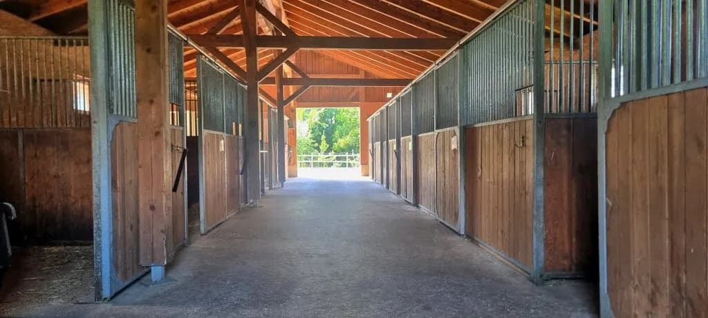 Grundstück kaufen in Perg – 262 m², € 2.990.000 – Bild 17 von 24