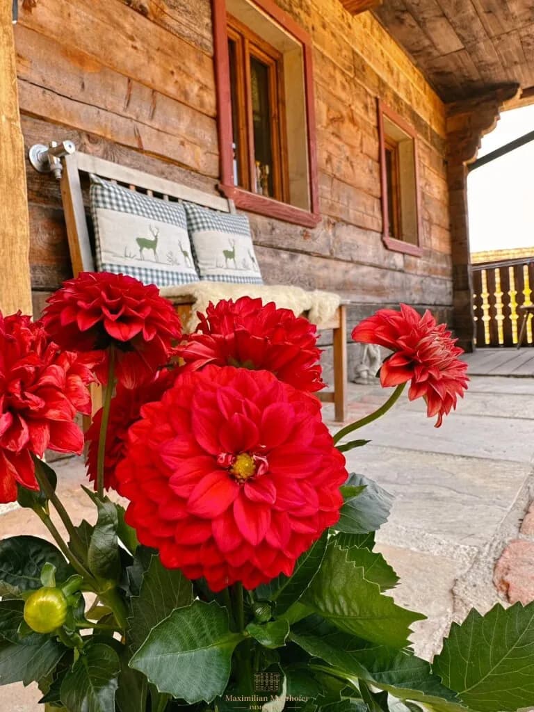 5-Zimmer-Haus kaufen in Graz-Umgebung – 150 m², € 498.000 – Bild 13 von 19