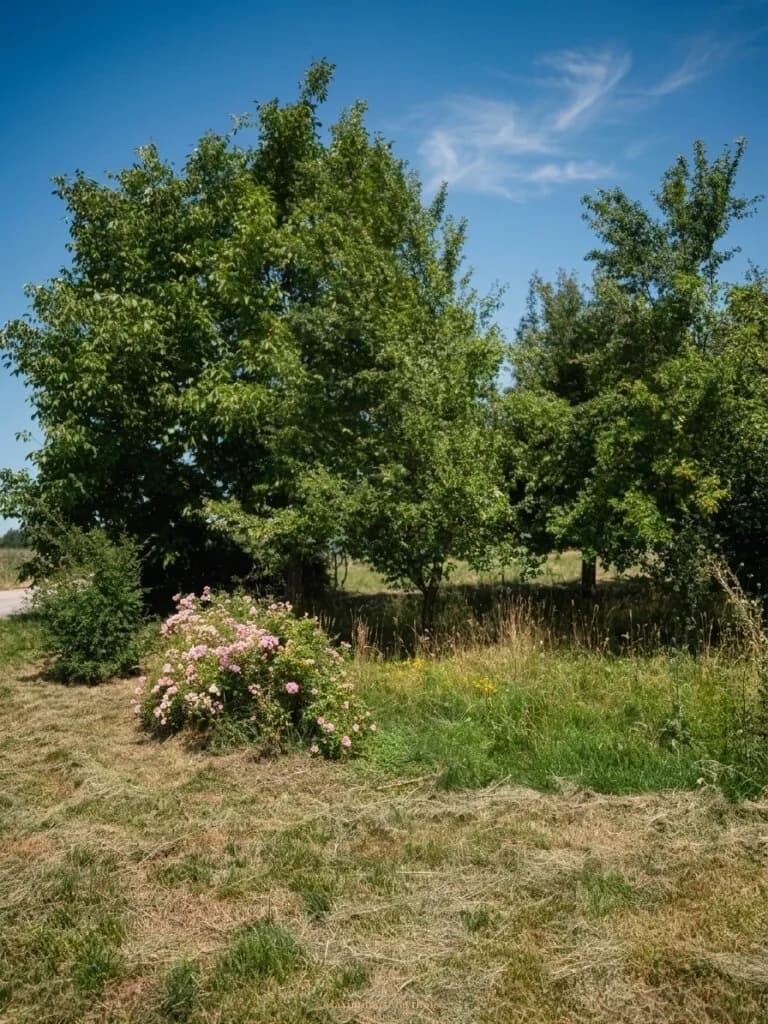 Grundstück kaufen in Gmunden – 1 084 m², € 529.500 – Bild 5 von 9