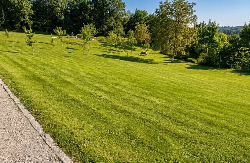 Grundstück kaufen in Urfahr-Umgebung – 649 m², € 179.500 – Bild 1 von 5