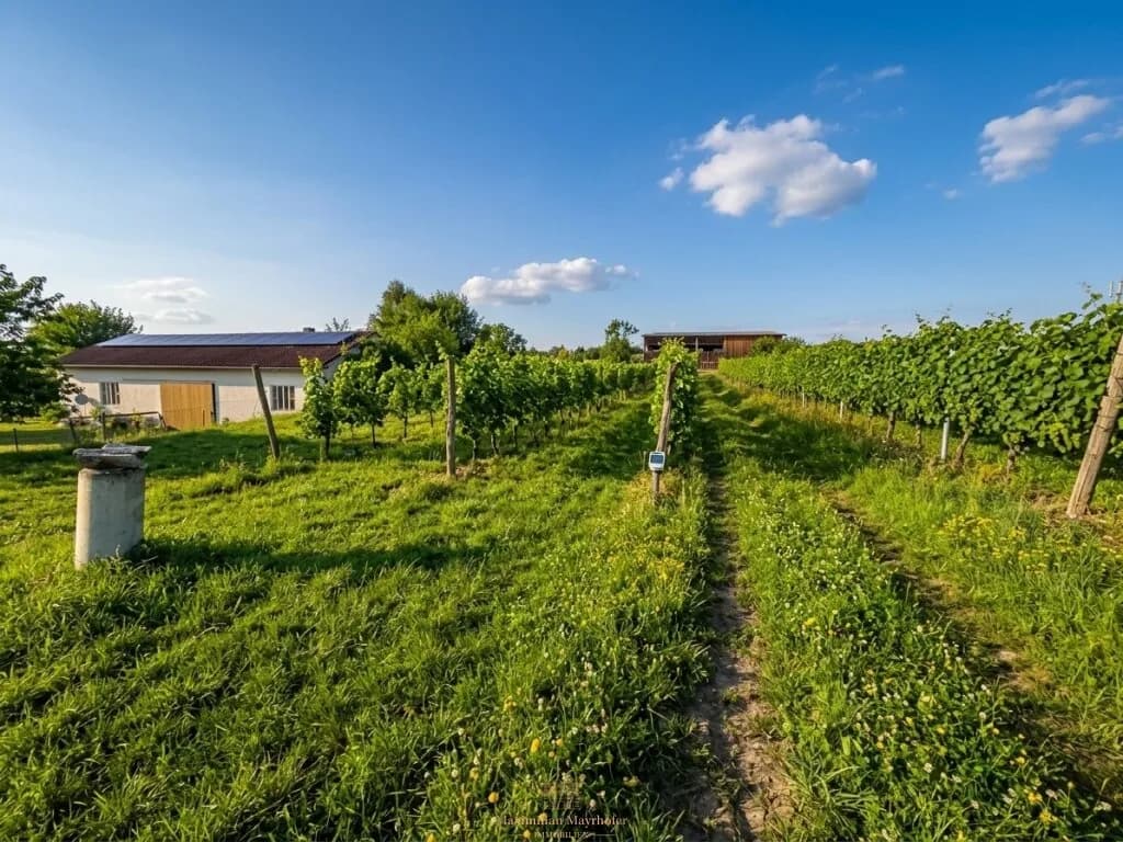 Grundstück kaufen in Krems Land – 125 m², € 79.950 – Bild 8 von 9