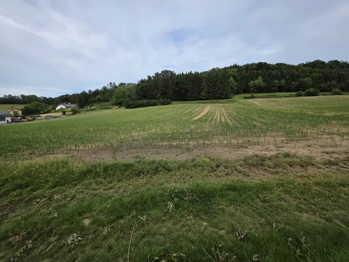 Grundstück kaufen in Güssing – 3 450 m², € 35.000 – Bild 1 von 7