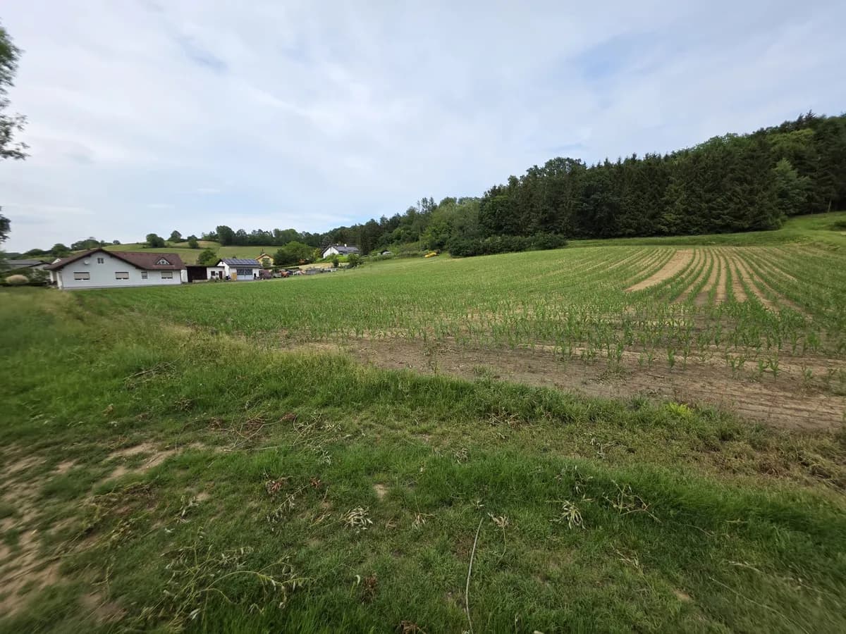 Grundstück kaufen in Güssing – 3 450 m², € 35.000 – Bild 2 von 7