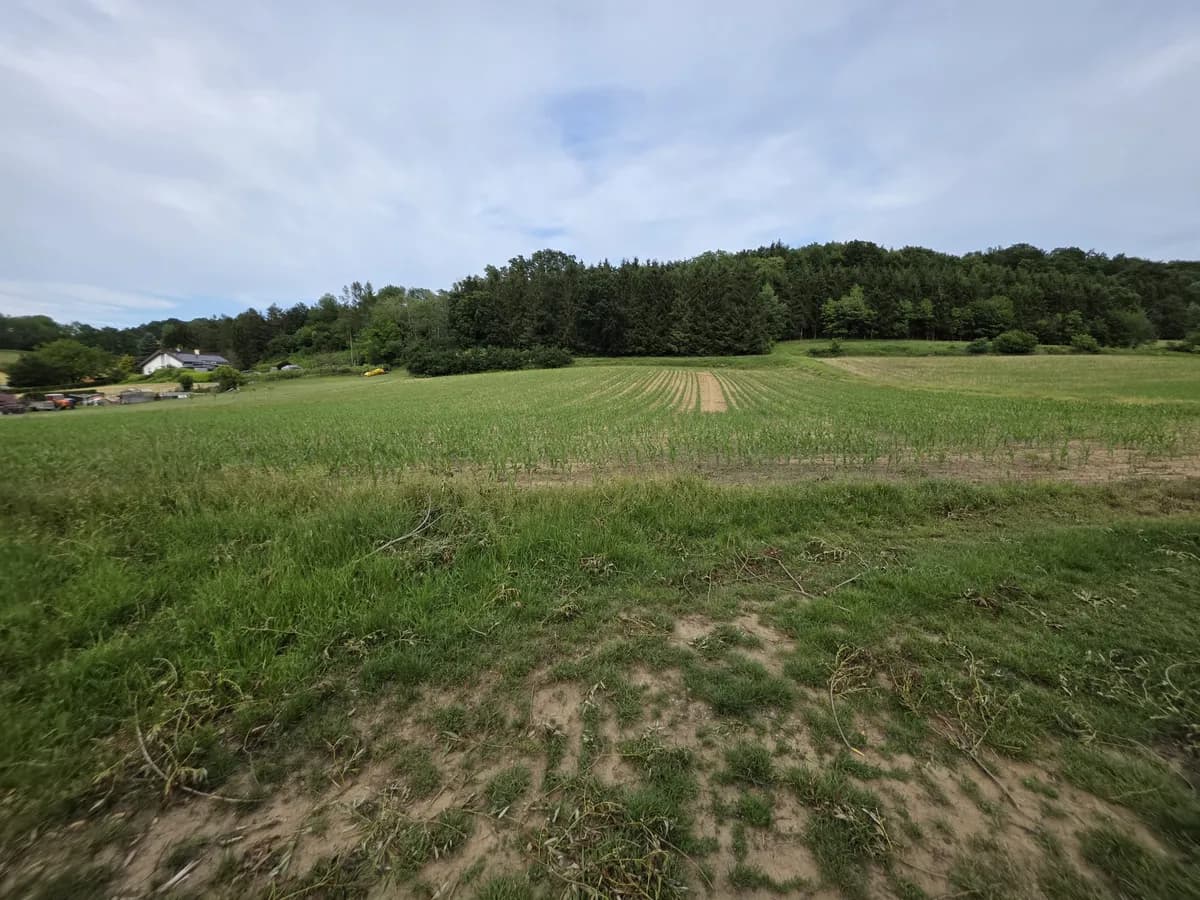 Grundstück kaufen in Güssing – 3 450 m², € 35.000 – Bild 3 von 7