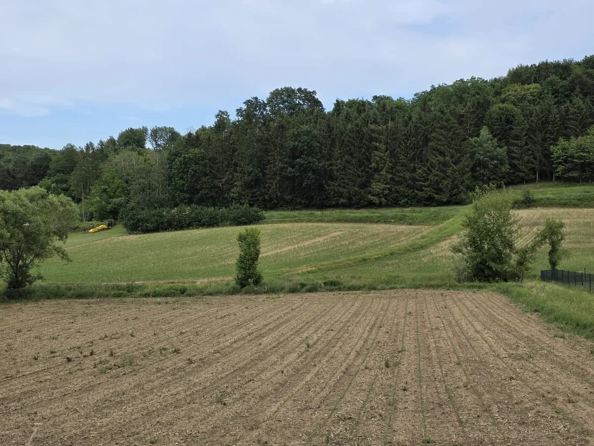 Grundstück kaufen in Güssing – 3 450 m², € 35.000 – Bild 4 von 7