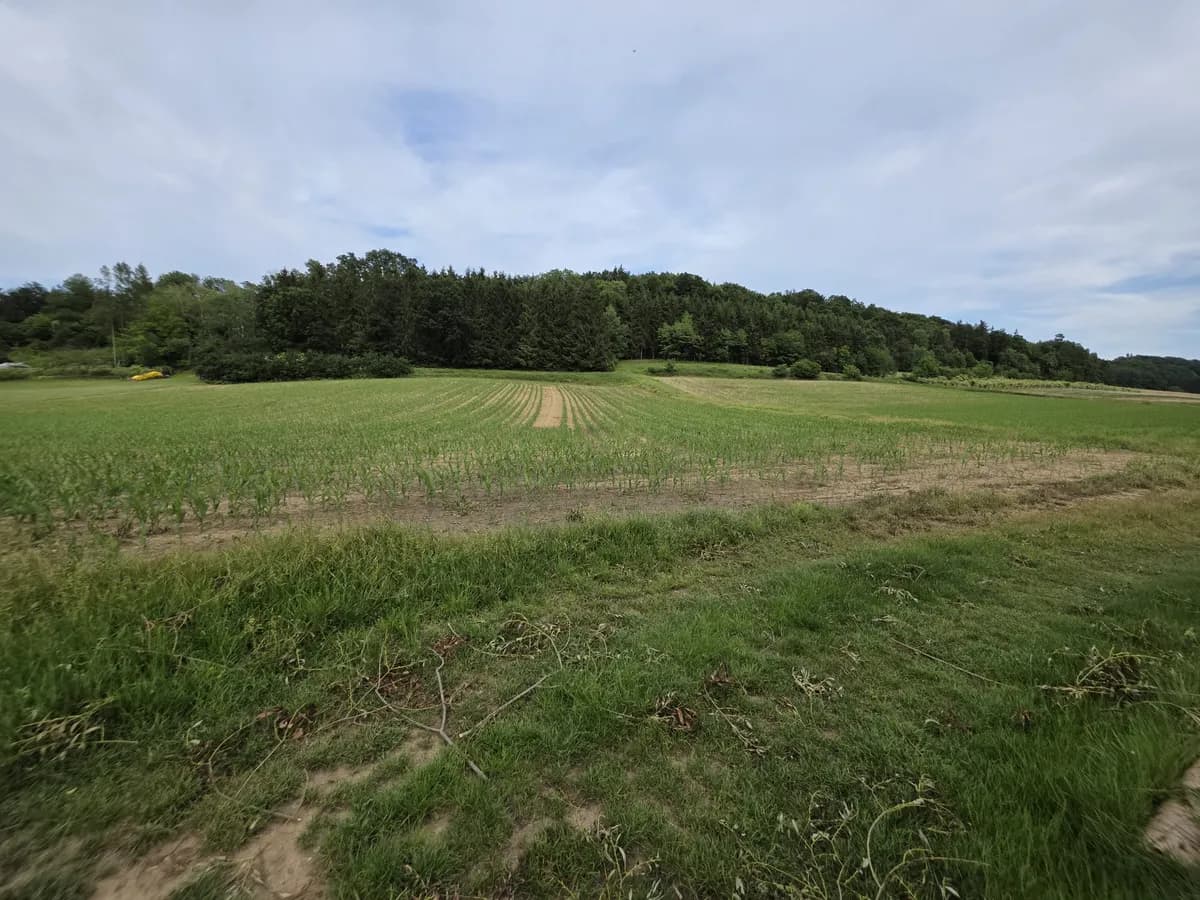 Grundstück kaufen in Güssing – 3 450 m², € 35.000 – Bild 5 von 7
