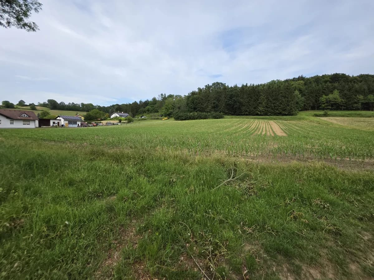 Grundstück kaufen in Güssing – 3 450 m², € 35.000 – Bild 6 von 7
