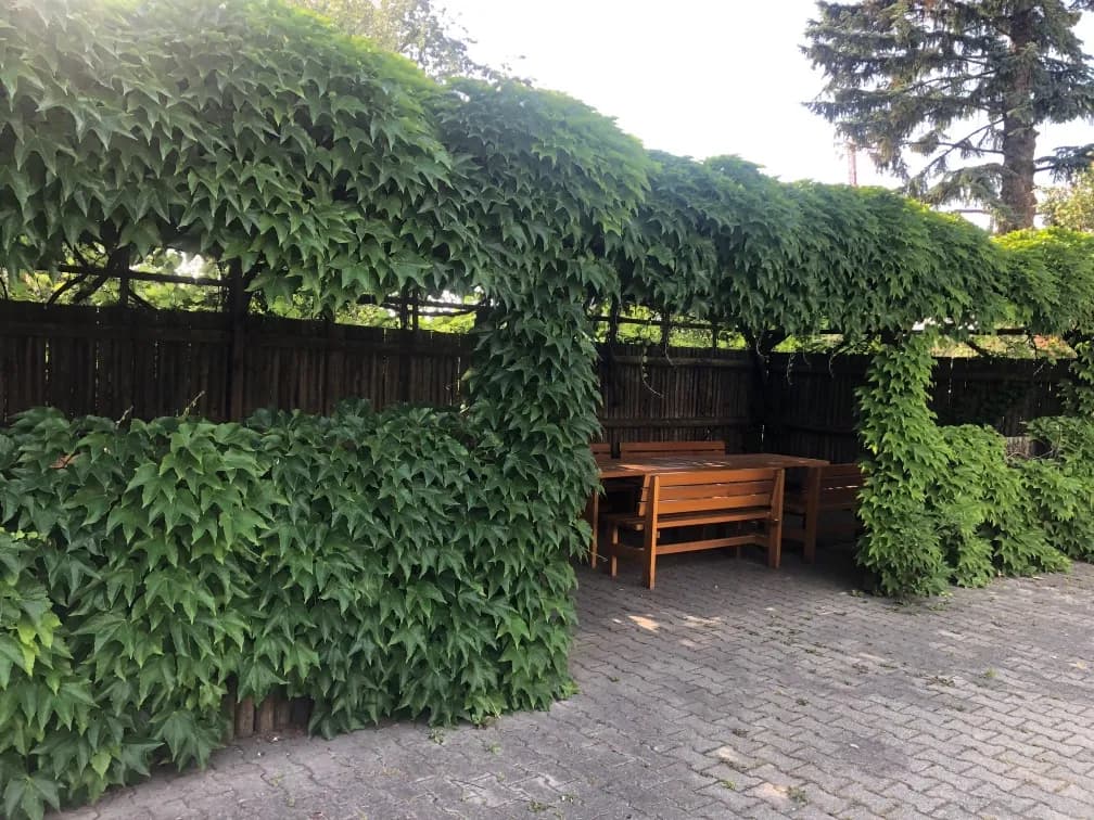 3-Zimmer-Wohnung mieten in Wien – 72 m², € 1.195 – Bild 18 von 20
