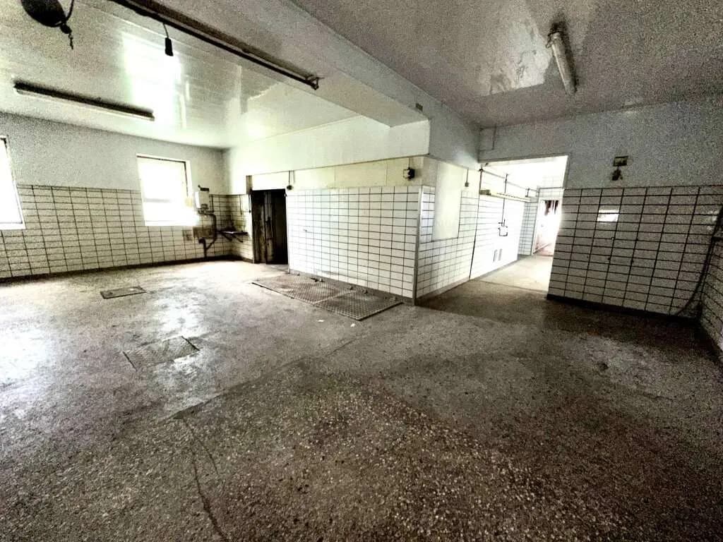Gewerbeimmobilie mieten in Graz – 504 m², € 2.520 – Bild 13 von 19