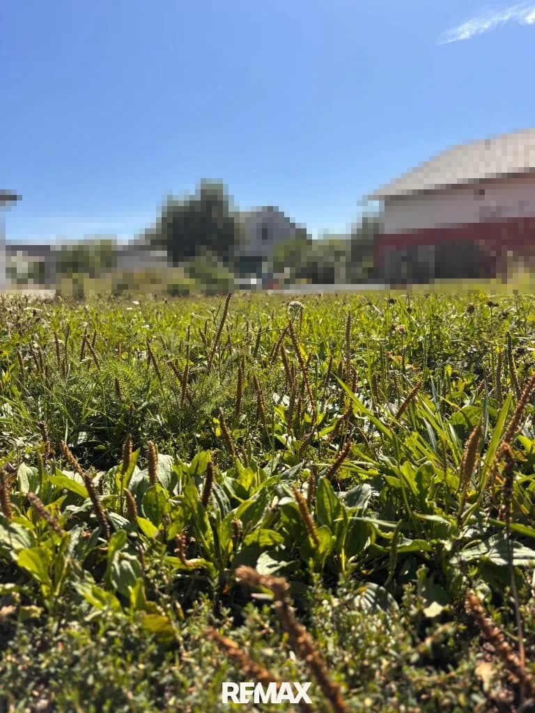 Grundstück kaufen in Urfahr-Umgebung – 849 m², € 219.000 – Bild 2 von 4