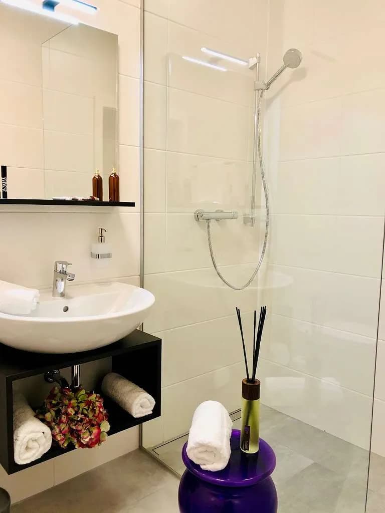 1-Zimmer-Wohnung mieten in Wels – 30 m², € 830 – Bild 2 von 10