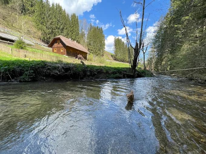 Immobilie kaufen in Sankt Veit an der Glan – 110 m², € 299.000 – Bild 3 von 29