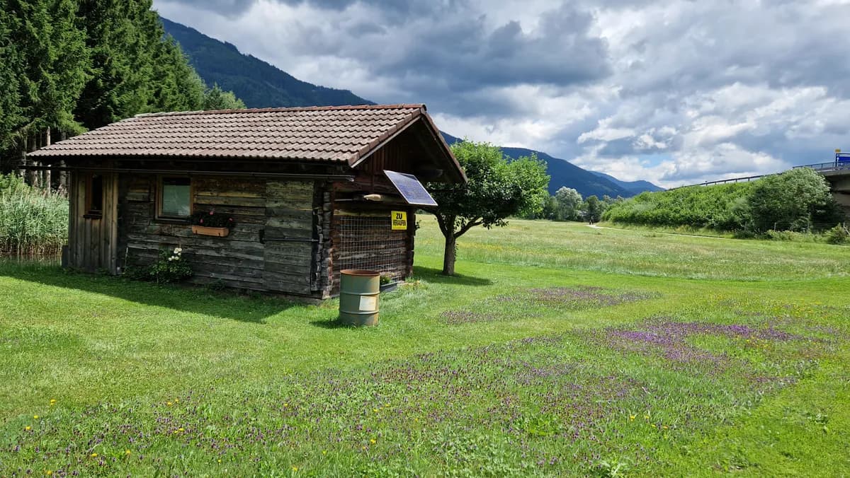 Grundstück kaufen in Liezen – 5 228 m², € 89.000 – Bild 3 von 12