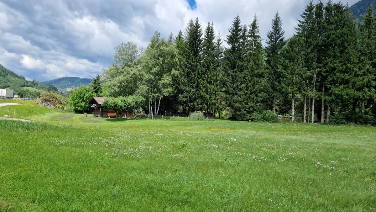 Grundstück kaufen in Liezen – 5 228 m², € 89.000 – Bild 5 von 12