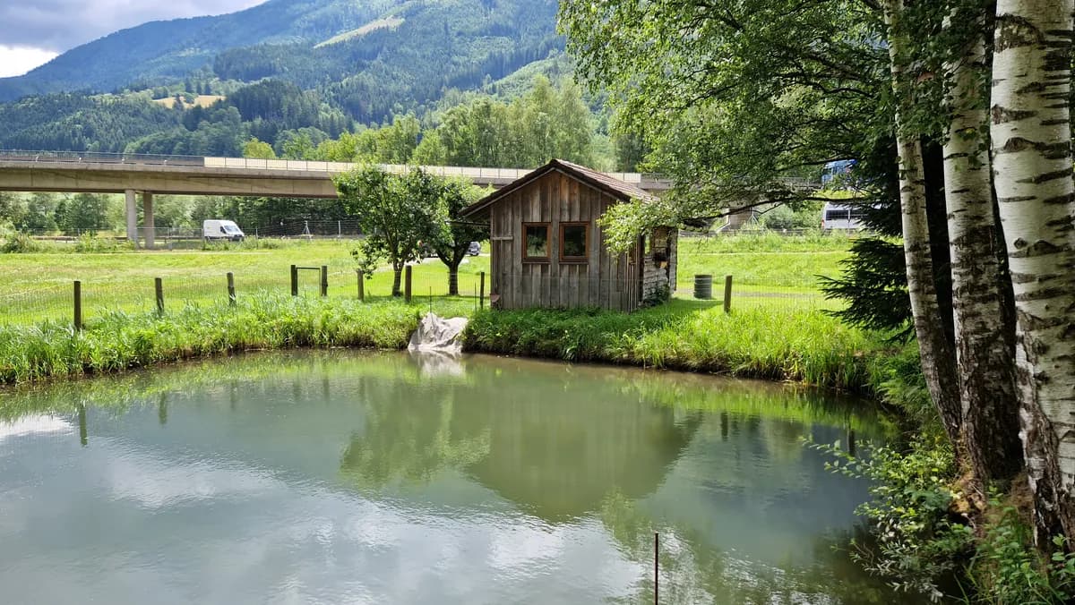 Grundstück kaufen in Liezen – 5 228 m², € 89.000 – Bild 6 von 12