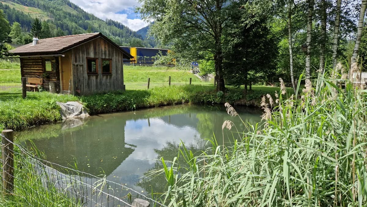 Grundstück kaufen in Liezen – 5 228 m², € 89.000 – Bild 7 von 12
