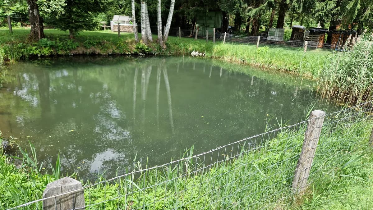 Grundstück kaufen in Liezen – 5 228 m², € 89.000 – Bild 8 von 12